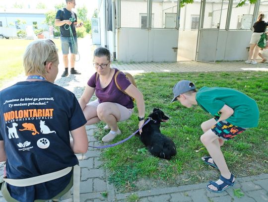Randka z psem? Lubelskie schroniska dołączają do popularnej aplikacji