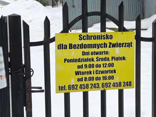 Schronisko dla zwierząt w Chełmie