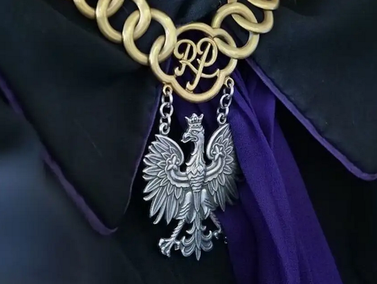 Rok więzienia za katowanie i zabicie kota. Wyrok prawomocny