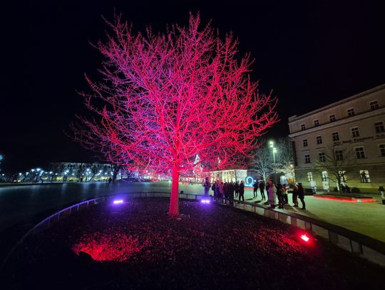 Różowo na Placu Litewskim i bezpłatne badania. Trwa Europejski Tydzień Walki z Rakiem Szyjki Macicy Różowo na Placu Litewskim i bezpłatne badania. Trwa Europejski Tydzień Walki z Rakiem Szyjki Macicy
