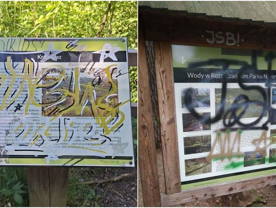 Samozwańczy „artysta” na terenie Roztoczańskiego Parku Narodowego. „Wandalom mówimy zdecydowane NIE”