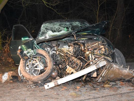 Sarna przyczyną groźnego wypadku