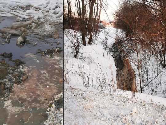 Ścieki z zakładów mięsnych znów trafiły do rzeki?