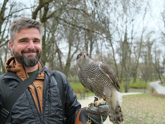 Skrzydlata strażniczka pilnuje Ogrodu Saskiego