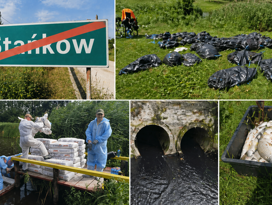 Katastrofa ekologiczna Stańków