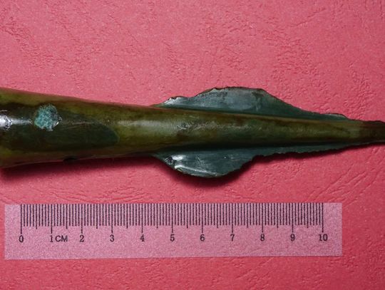 Śmierć zaklęta w brązie. Pod Dubienką odnaleziono włócznię sprzed 3000 lat