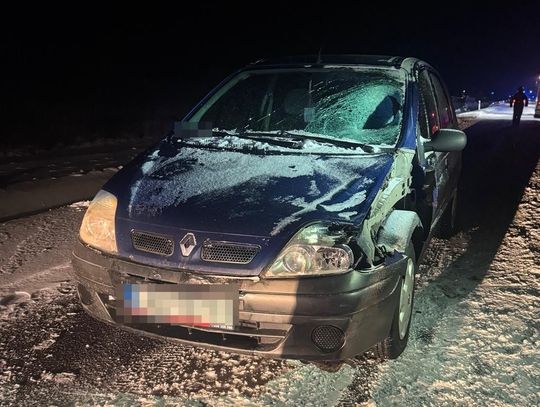 Śmiertelny wypadek na drodze wojewódzkiej. 52-latek zginął na miejscu