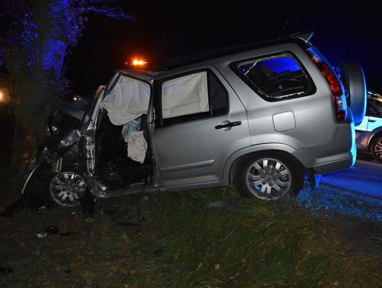 Śmiertelny wypadek pod Siedliszczem. Samochód uderzył w drzewo