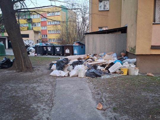 Śmietnisko przy Odlewniczej 9. Administracja: „Robimy, co do nas należy”