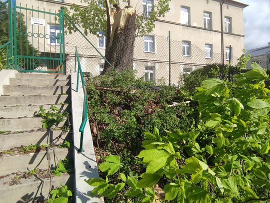 Strażacy mają pełne ręce roboty z powodu wichury