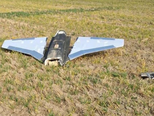 Szczątki obiektu znalezione w lesie pod Radzyniem to prawdopodobnie wabik Szczątki obiektu znalezione w lesie pod Radzyniem to prawdopodobnie wabik