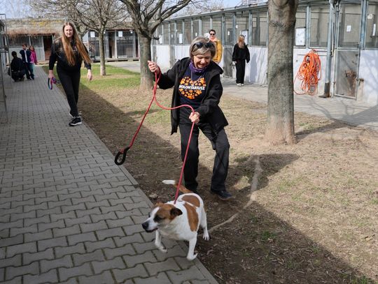 Tłumy w schronisku i setki merdających ogonów. Dzień Otwarty przyciągnął mieszkańców Lublina
