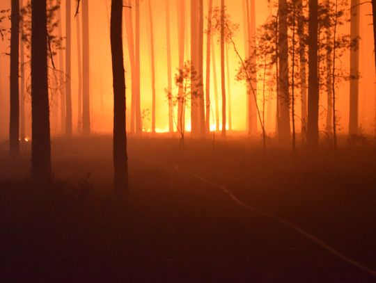 Trwa walka z pożarem w powiecie biłgorajskim. Ogień się nie rozprzestrzenia, 2 strażaków w szpitalu