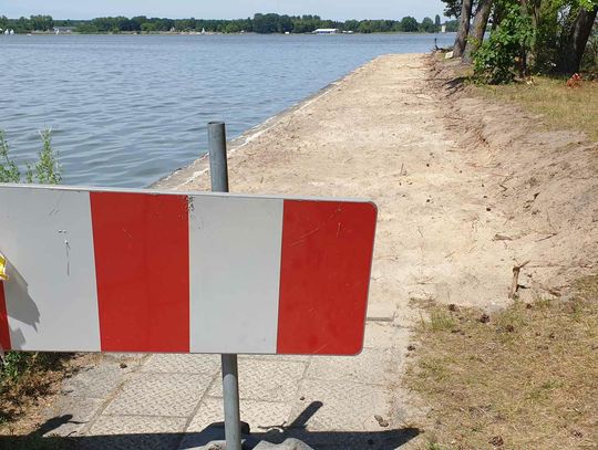 Urząd Miasta sprawdza budowę ścieżki przy Zalewie Zemborzyckim. W planach ochrona 300-letniego dębu