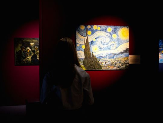 Van Gogh w Lublinie: immersyjna wystawa w "Hangarze Sztuki"