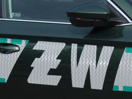 W lesie na Lubelszczyźnie znaleziono szczątki rakiety