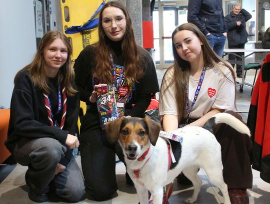 W puławskim WOŚP na sportowo. Biegi, kijki, morsowanie