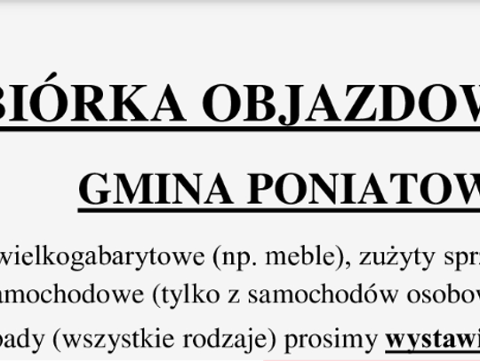 Wielkie porządki w gminie Poniatowa. Znamy terminy odbioru gabarytów
