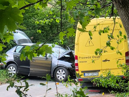 Wypadek drogowy z udziałem dzieci. Ponad 20 osób poszkodowanych