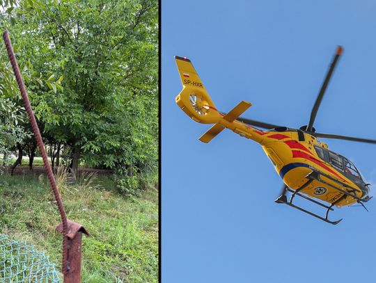 Wypadek przy zbiorze wiśni. Spadła z drabiny na metalowy pręt