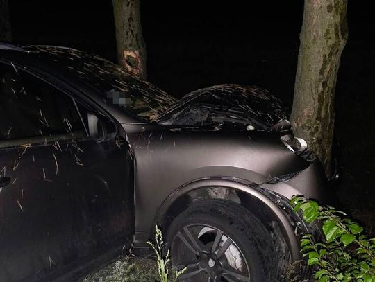 Z promilami, zakazem jazdy i listem gończym. Rozbił Porsche o drzewo