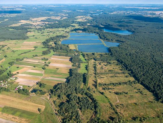 Zainwestują w dawne grodzisko. Powstanie wieża widokowa i ścieżka edukacyjna