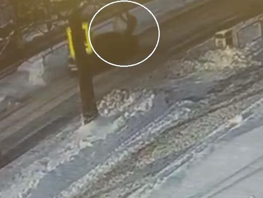 Zatrzymał się jeden, pędził drugi. Groźne potrącenie na pasach w centrum Chełma