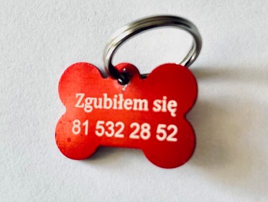 „Zgubiłem się”. Miasto rozdaje darmowe adresatki dla psów
