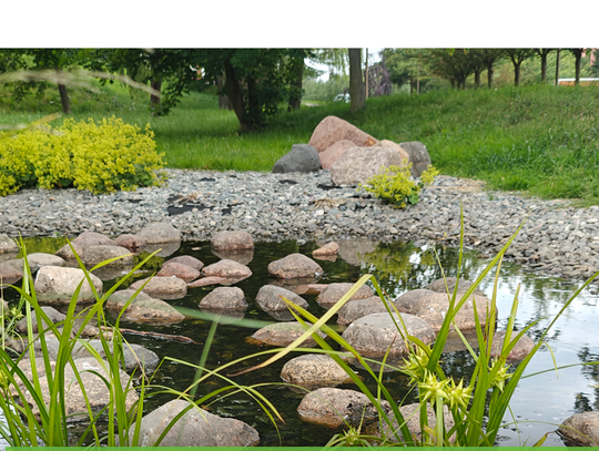 Zielona retencja: większość projektów przeszła ocenę formalną