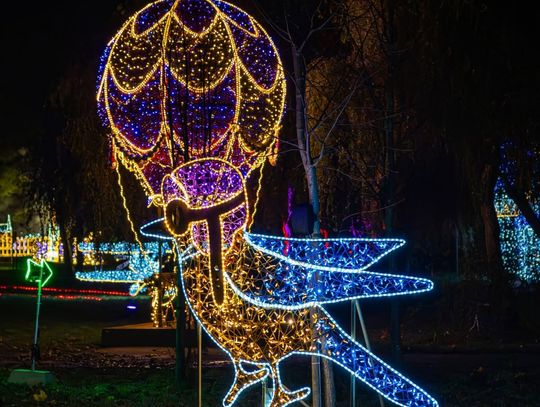 Zima w Ogrodzie Botanicznym? Kolejny raz pod znakiem Lumina Park
