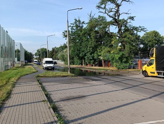 Zraszacze przy boisku rugby zalewają ulicę Bazylianówka. Klub zapowiada korektę ustawień