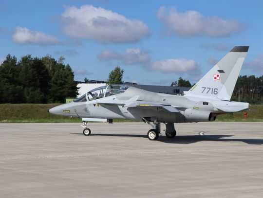 Zwierzęta zagrażają pilotom z Dęblina. Trzeba będzie uśmiercić lisy i borsuki