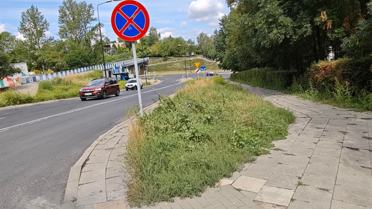 Brak skoszonych traw, czyli (nie)zrównoważone zarządzanie zielenią