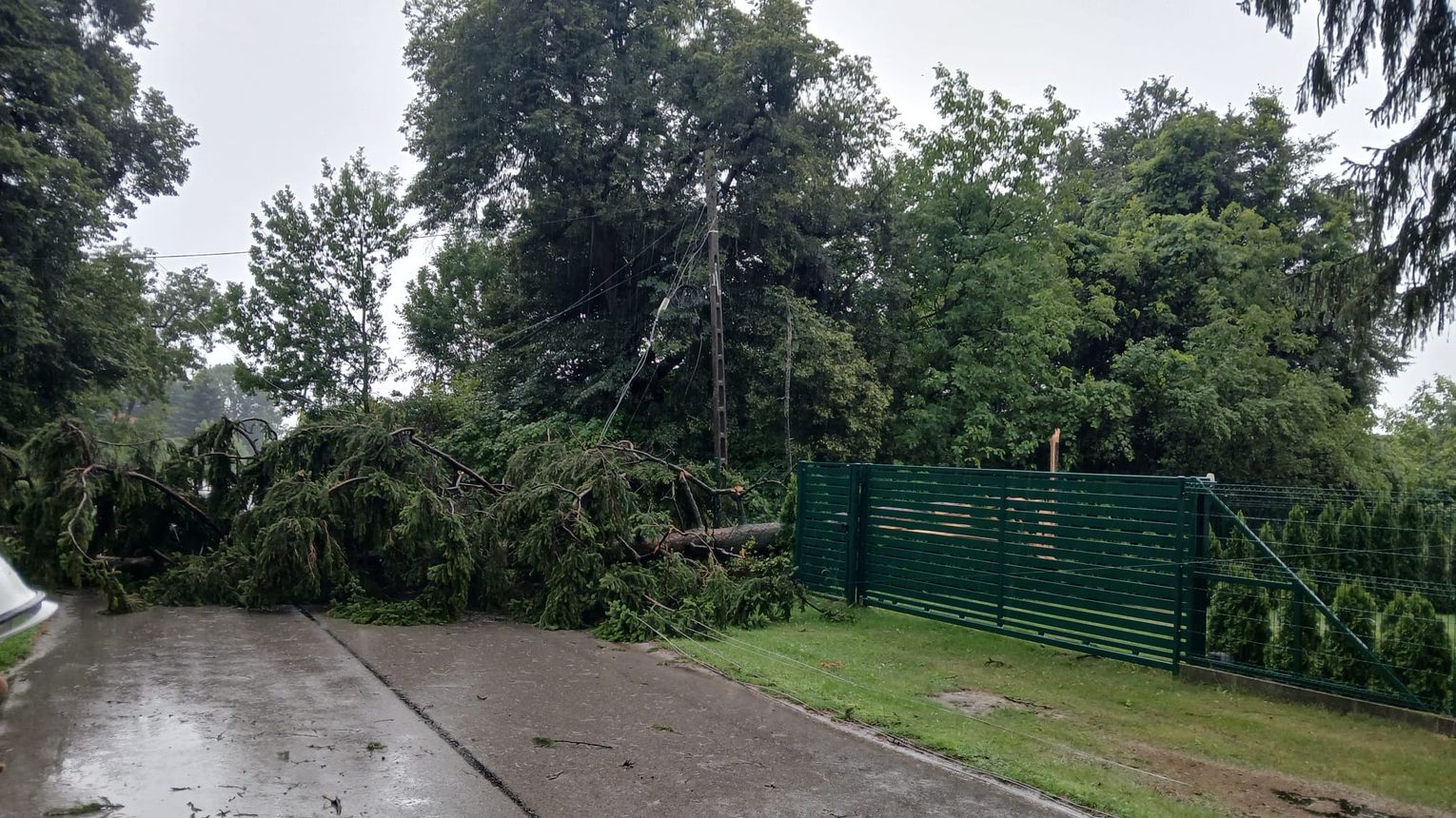 Burza przeszła nad powiatem zamojskim. Strażacy interweniowali 18 razy