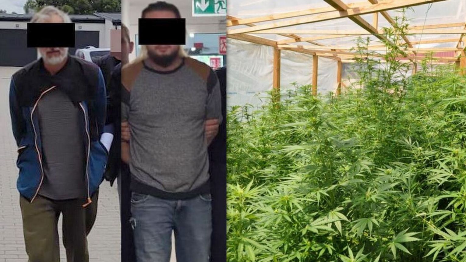 Hodowali narkotyki w tunelu. Grozi im 20 lat za kratkami