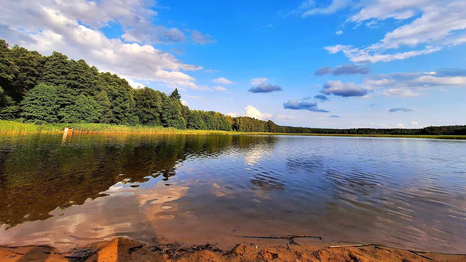 Koniki polskie stracą swój raj? Stawy Echo umierają z pragnienia