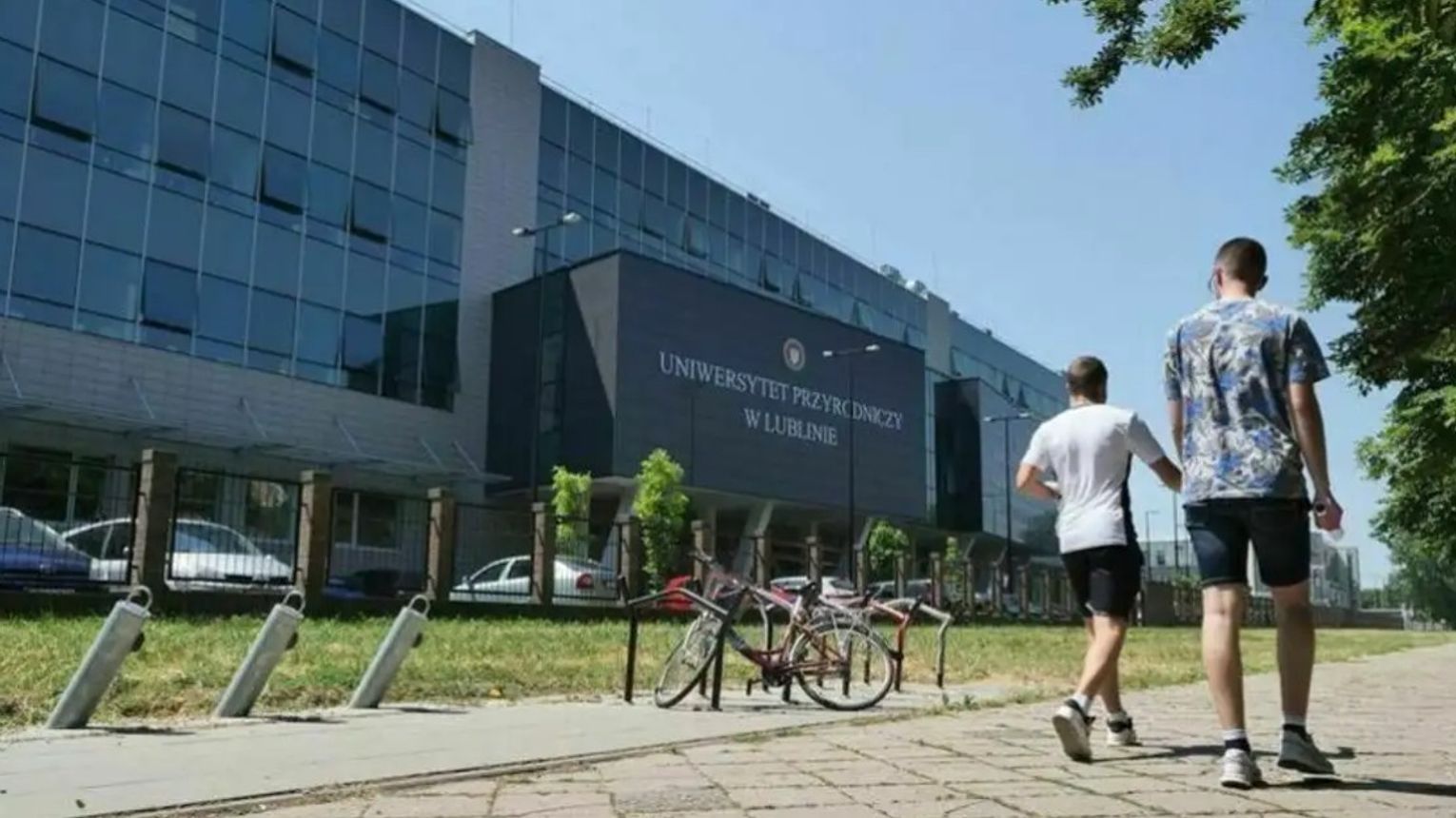 Weterynaria ponownie bezkonkurencyjna – znamy wyniki rekrutacji na Uniwersytecie Przyrodniczym