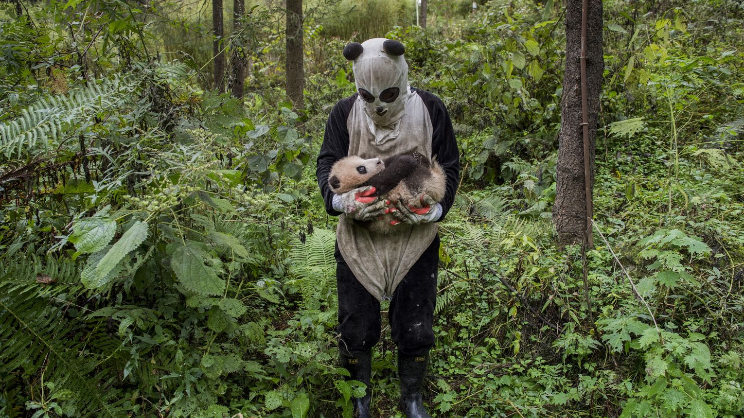 Wystawa World Press Photo w Lublinie. Plenerowa ekspozycja o zmianach klimatu już od 1 sierpnia