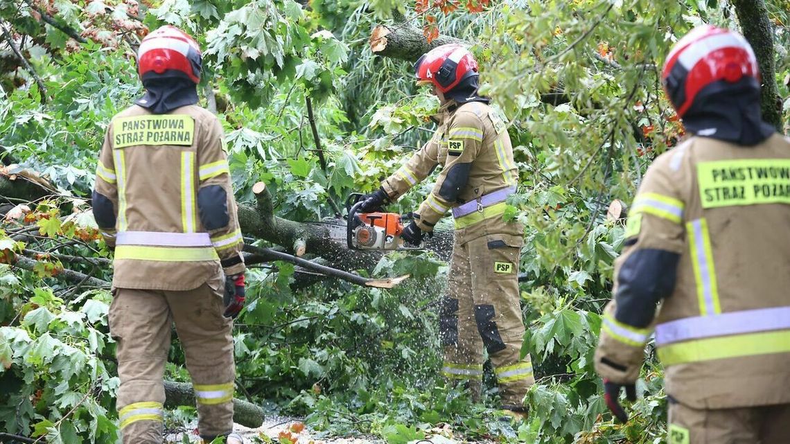 1,5 mln zł strat po przejściu burzy nad Lublinem. Podsumowanie strażaków