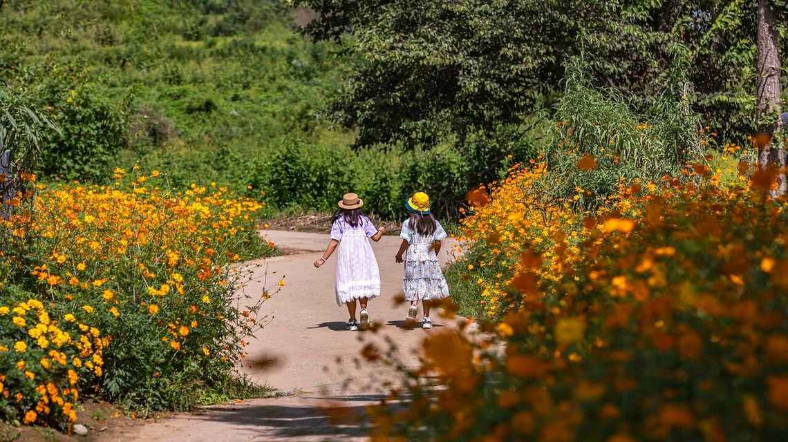 1 czerwca weź dziecko do Kozłówki. PRL wróci za darmo