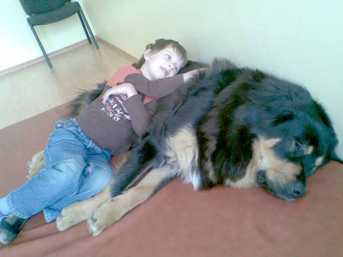 1 procent podatku: Możesz sprawić, żeby żyło im się lepiej