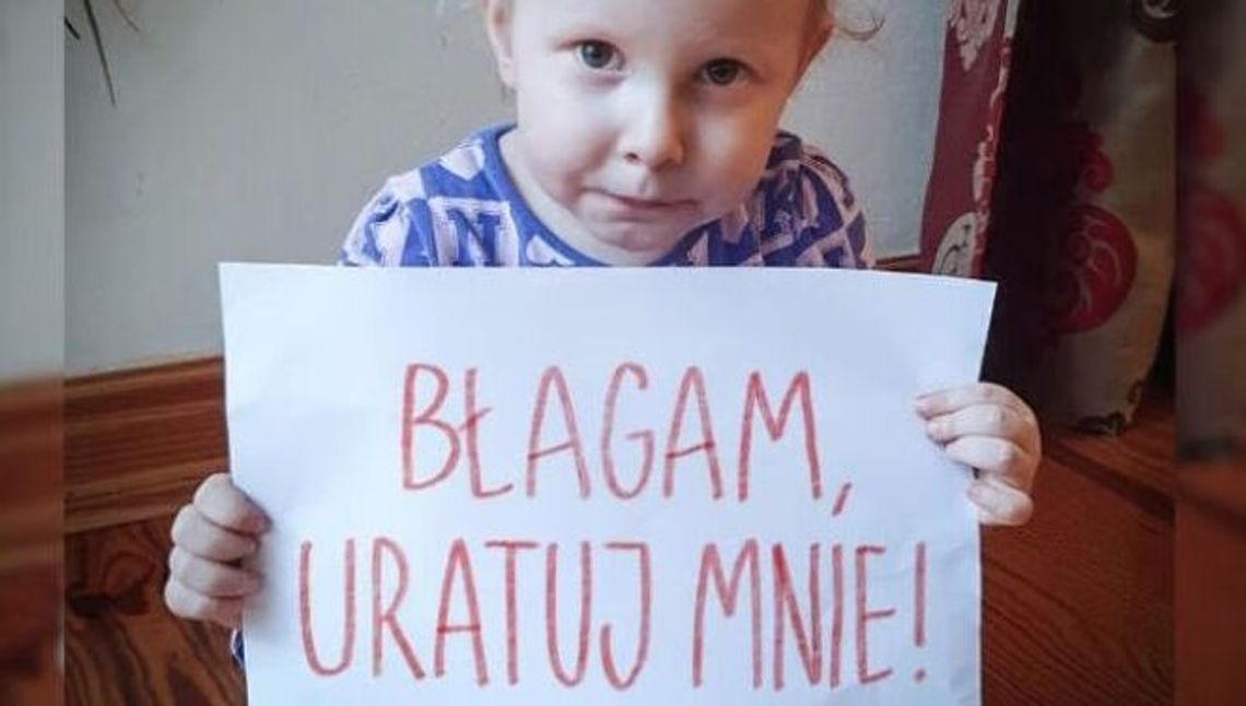 10 milionów złotych – tyle kosztuje życie Oliwki