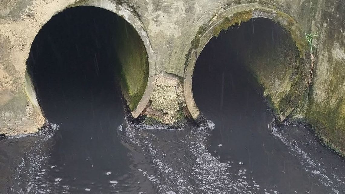 10 ton martwych ryb i wzajemne oskarżenia. Incydent czy katastrofa ekologiczna?
