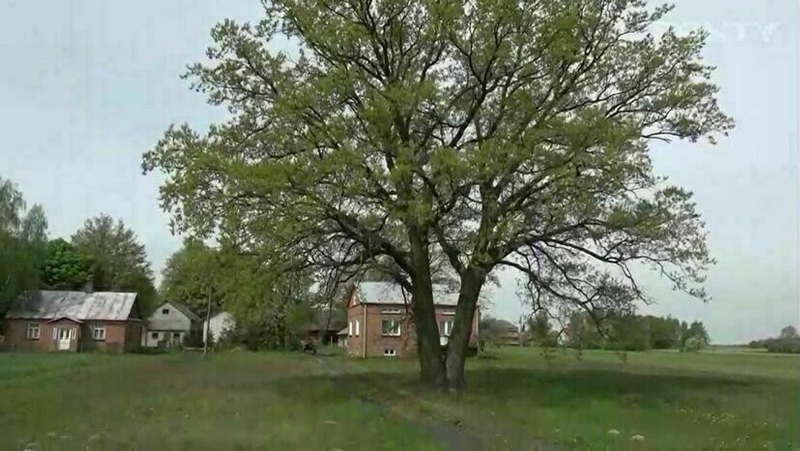 100-letni Alojzy kontra autostrada. Drogowcy zaskarżyli uchwałę radnych