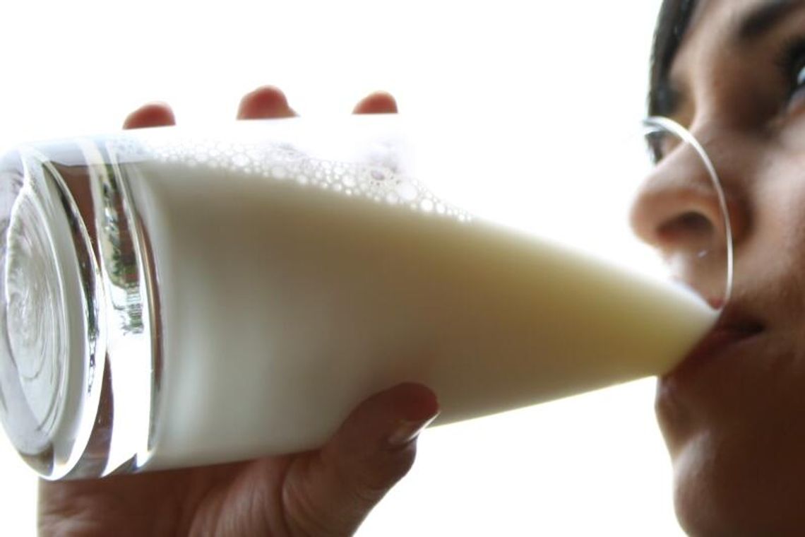 100 ton mleka z Krasnegostawu pojechało do Algierii 100 ton mleka z Krasnegostawu pojechało do Algierii