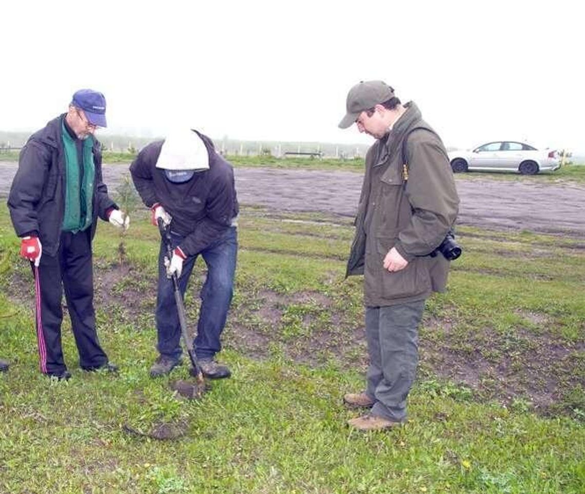 1000 drzew na minutę. To odpowiedź na niepokój i troskę wobec tzw. „masowej wycinki"