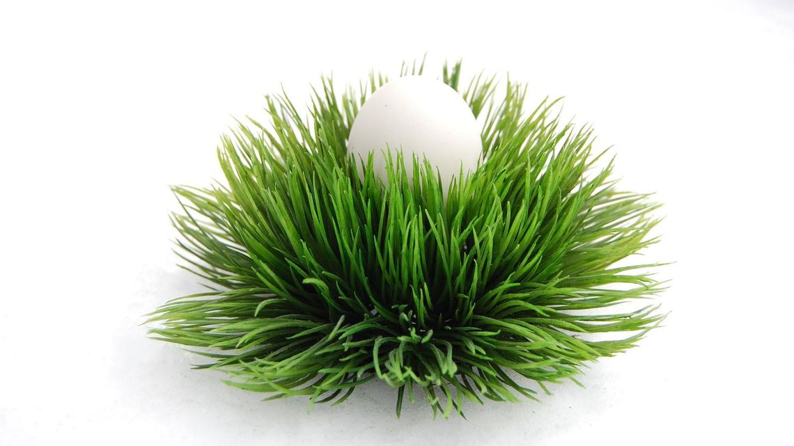 11 sposobów na wielkanocne jajko. Z kaparami, anchois lub mango