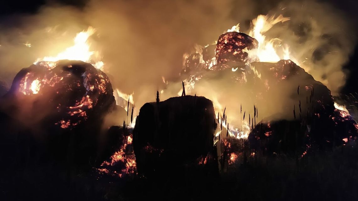 12 godzin walki z ogniem koło Bełżyc i jeszcze się pali