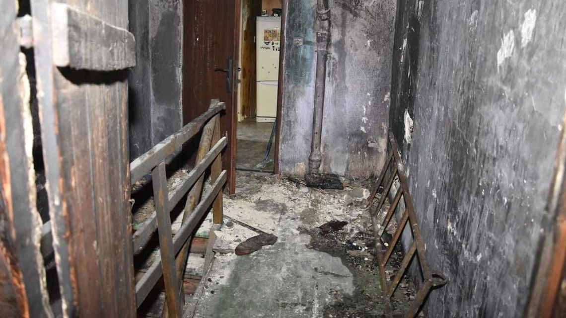 12-letni bohater. Uratował z pożaru babcię. Wrócił po psa i papugę 12-letni bohater. Uratował z pożaru babcię. Wrócił po psa i papugę