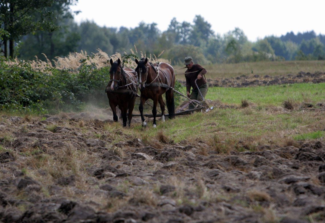 13,5 mld euro na rozwój polskiej wsi
